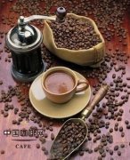 咖啡樹種植 精品咖啡的成長過程