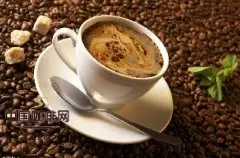 精品咖啡基礎常識 分析咖啡主要成分