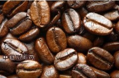 精品咖啡基礎常識 選咖啡必讀守則
