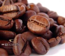 咖啡基礎常識 單一產地咖啡豆介紹