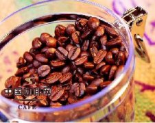 咖啡常識 什麼樣的咖啡豆纔是最好的？