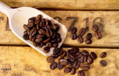 精品咖啡豆的常識 咖啡豆子的區分
