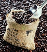咖啡基礎常識 精品咖啡豆的10個必備要素