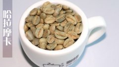 埃塞俄比亞咖啡 最重要的日曬豆產區哈拉