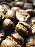 精品咖啡豆分級標準 雲南咖啡豆特二級標準