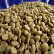 精品咖啡學 精品咖啡之耶加雪啡咖啡豆