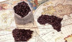 精品咖啡豆基礎常識 咖啡何來公母