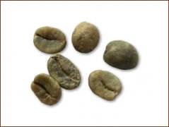精品咖啡豆種類 哥斯達黎加咖啡豆圖片