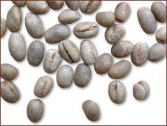 精品咖啡豆種類 豆形圓豆咖啡豆圖片