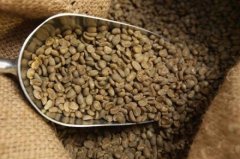 精品咖啡知識  什麼是豌豆型咖啡豆？