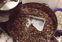 精品咖啡豆手選技術 用振動篩挑選咖啡豆
