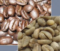 咖啡豆產區-亞洲-印度