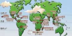 世界各國知名咖啡豆種類一覽 中英文對照