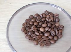 精品咖啡常識 咖啡生豆分級標準