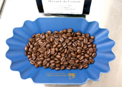 精品咖啡豆 夏威夷咖啡豆可樂處理咖啡豆