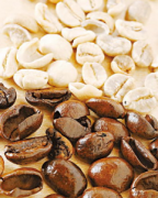 咖啡豆的常識 咖啡烘焙中瑕疵豆介紹