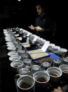 咖啡培訓 咖啡杯測基礎流程常識