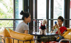 精品咖啡館推薦 韓國最潮的狗狗咖啡館