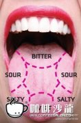 精品咖啡品嚐技巧 圖解味道在舌頭的分佈