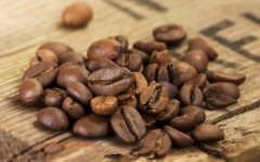 精品咖啡豆生產地 埃塞俄比亞咖啡