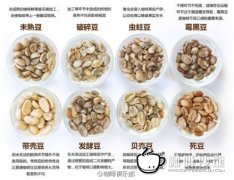 咖啡豆知識 瑕疵豆對咖啡的口感影響特別大