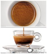 咖啡常識 一杯好的Espresso是看得見虎斑的