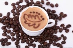 咖啡文化 精品咖啡文化與環境的影響