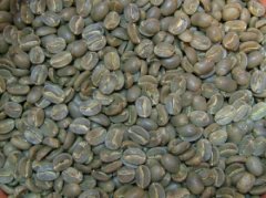 咖啡豆呈綠色 也被稱作“綠咖啡”