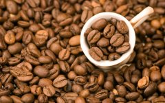精品咖啡基礎常識 最稀有的咖啡
