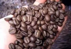精品咖啡基礎常識 咖啡的口味