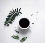 精品咖啡學 全球53個咖啡產地介紹2