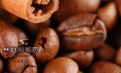 什麼是菊苣咖啡？ 精品咖啡基礎常識