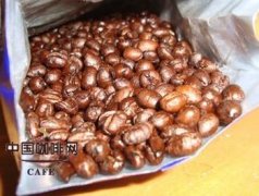 什麼是豌豆型咖啡？ 精品咖啡基礎常識