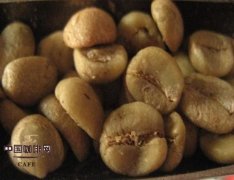 咖啡豆的淺度烘陪 咖啡豆烘焙技術