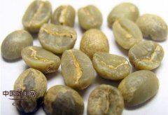 精品咖啡豆 大顆粒豆與小顆粒豆味道哪種佳？