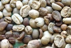 精品咖啡基礎知識 咖啡瑕疵豆