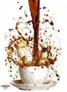 精品咖啡學咖啡基礎常識 咖啡樹的發現傳說