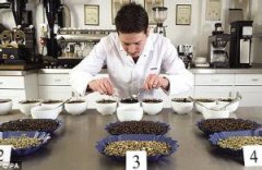 咖啡豆的品嚐檢測 什麼是咖啡杯測？
