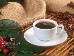 歐洲咖啡文化 精品咖啡文化常識