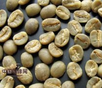 精品咖啡學咖啡基礎知識 咖啡豆如何分級？