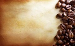 咖啡豆的基礎知識 咖啡豆的公豆母豆怎樣分辨