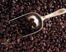 咖啡因的作用 咖啡因是一種較輕微的興奮劑