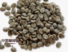 咖啡豆處理 加工生咖啡豆的方法