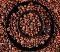 咖啡豆包裝上的名詞解釋 解讀咖啡豆的名稱