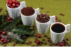 瞭解咖啡豆的本性 分成三大類來討論