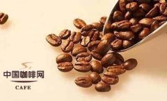 咖啡豆的基礎知識 生咖啡豆的主要化學成份