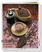 最傳統的阿拉伯咖啡品種 啊拉比卡種