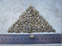 精品咖啡豆基礎常識 如何洗咖啡生豆
