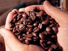什麼是咖啡因 咖啡因的作用詳解
