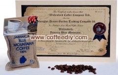 精品咖啡常識 選擇咖啡豆還是咖啡粉